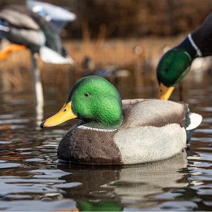 Avian-X TopFlight Mallard drake decoy close-up floating on water