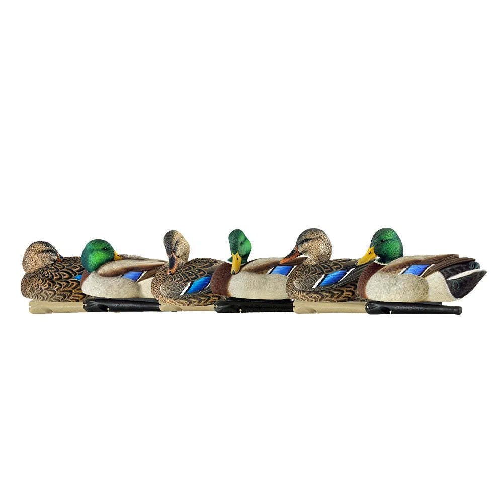 Avian-X TopFlight Mallards six-decoy lineup shown in side profile on white background