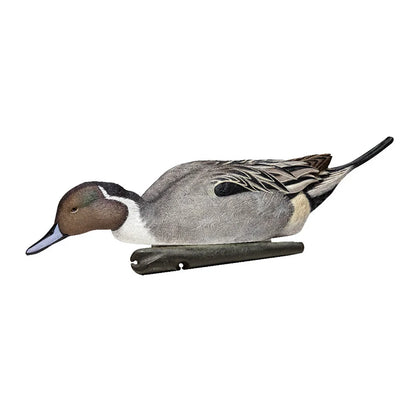 Avian-X TopFlight Pintail drake feeder-pose floating decoy, side view on white