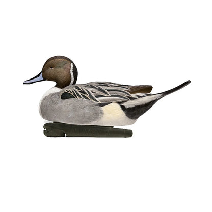 Avian-X TopFlight Pintail drake floating decoy, side profile on white