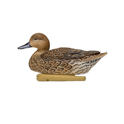 Avian-X TopFlight Pintail hen floating decoy, side profile on white