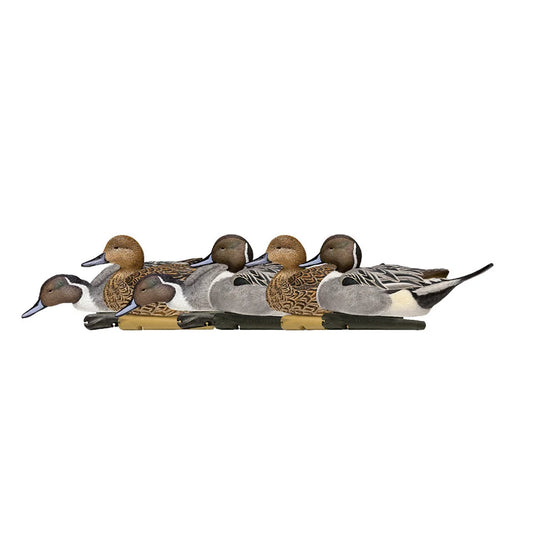 Avian-X TopFlight Pintails 6 floating decoys, side profile grouping on white