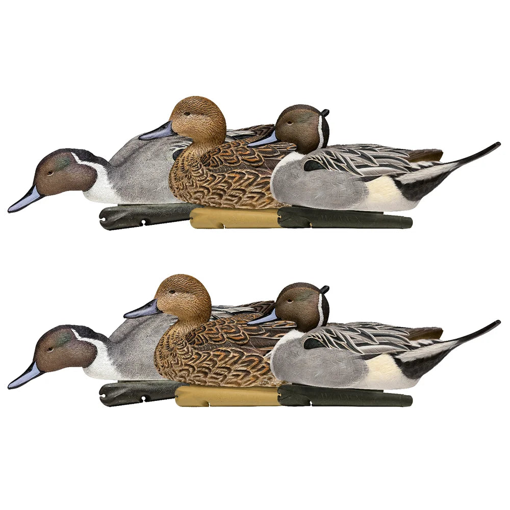 Avian-X TopFlight Pintails 6-pack floating decoys, stacked studio view on white
