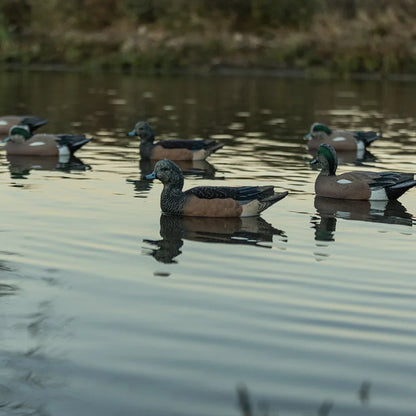 Avian-X TopFlight Wigeon decoy spread floating on a pond in field lifestyle scene