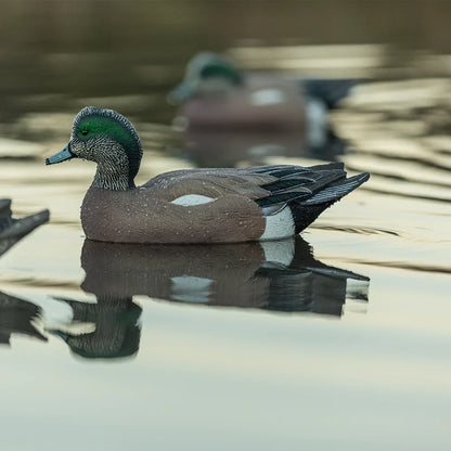Avian-X TopFlight Wigeon drake decoy floating close-up on water, lifestyle shot