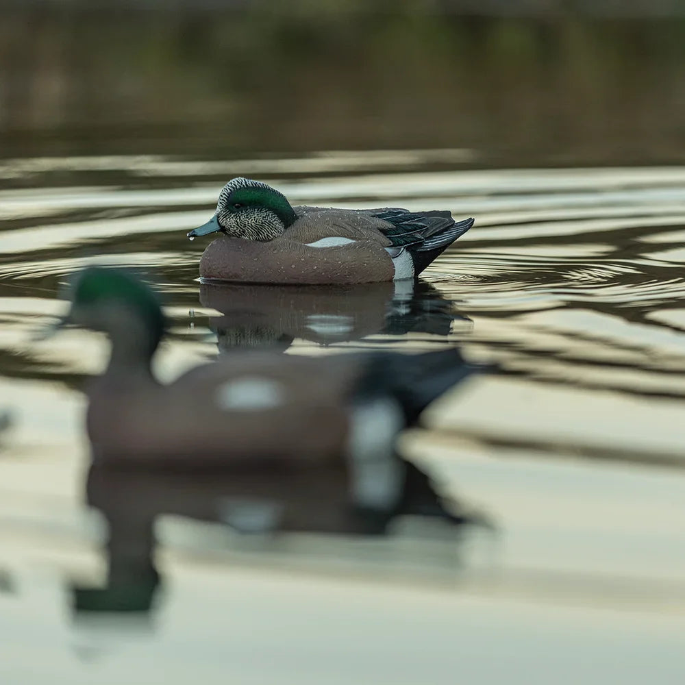 Avian-X TopFlight Wigeon drake decoy on water with ripples and second decoy in foreground