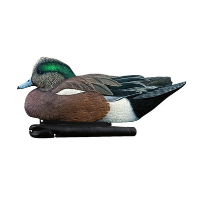 Avian-X TopFlight Wigeon drake floating decoy in resting pose, studio shot on white