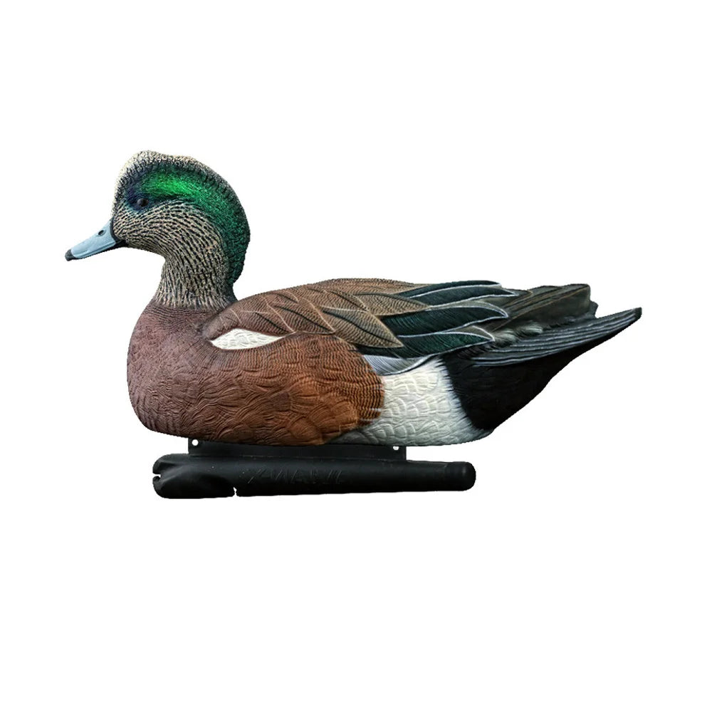 Avian-X TopFlight Wigeon drake floating decoy, side profile studio shot on white