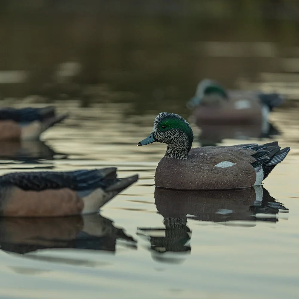 Avian-X TopFlight Wigeon floating decoy drake on water with rig in lifestyle scene