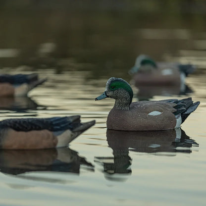 Avian-X TopFlight Wigeon floating decoy drake on water with rig in lifestyle scene