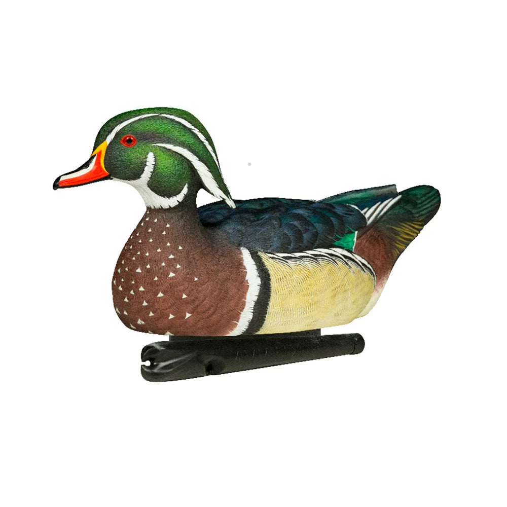 Avian-X TopFlight wood duck drake floating decoy upright side profile on white