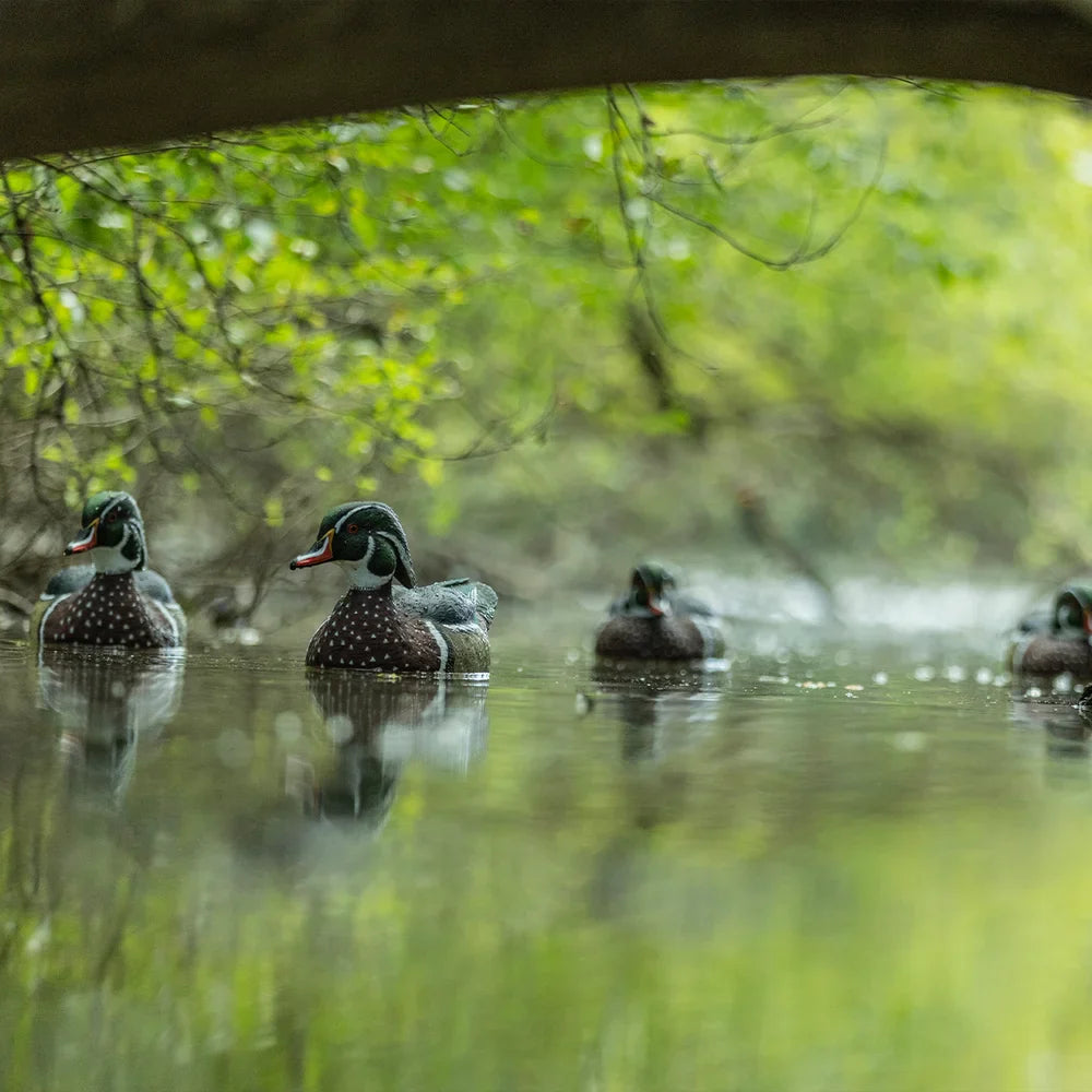 Avian-X TopFlight wood duck decoys floating on creek under overhanging branches
