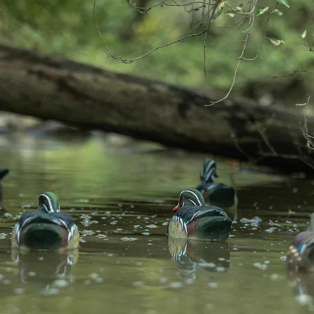 Avian-X TopFlight wood duck floating decoys on water near fallen log in field setting