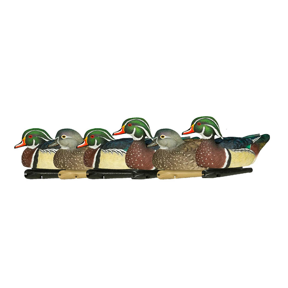 Avian-X TopFlight wood duck decoys full six-decoy flock lineup on white background