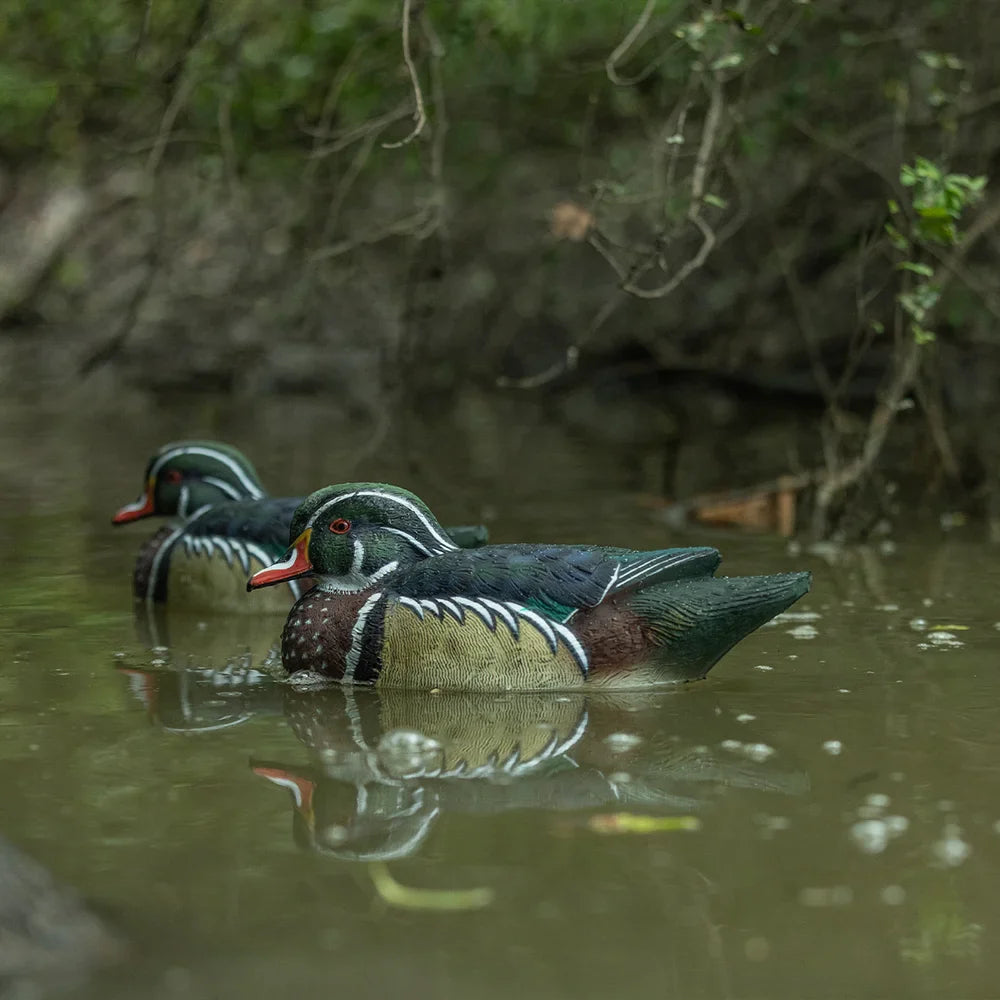 Avian-X TopFlight wood duck drake decoys floating in shaded pond
