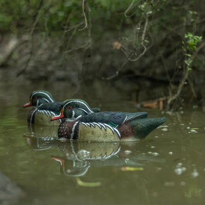 Avian-X TopFlight wood duck drake decoys floating in shaded pond