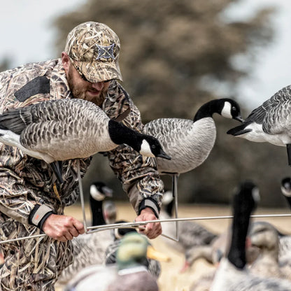 Avian-X X-Stand for Decoys in use by camo-clad hunter setting up Canada goose decoys in the field