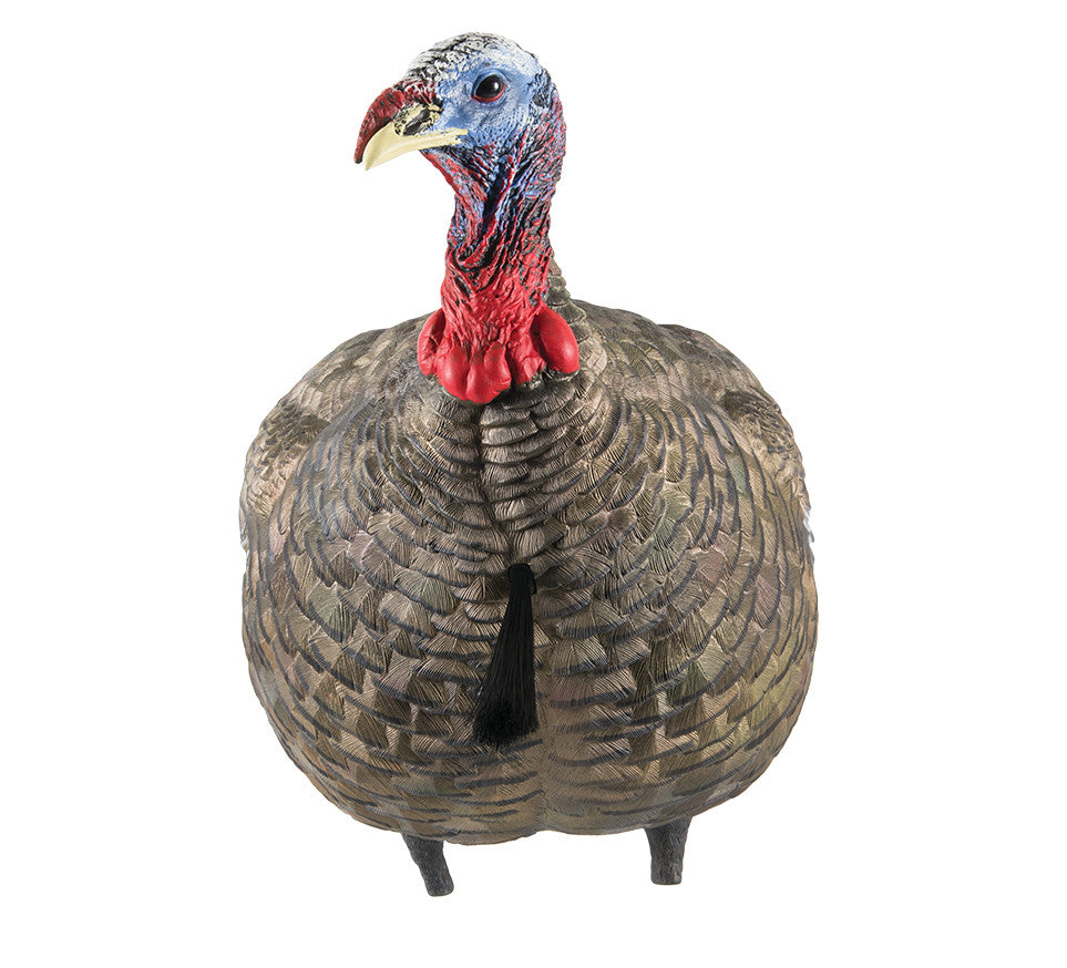 Avian X LCD  Quarter-Strut Jake Turkey Decoy