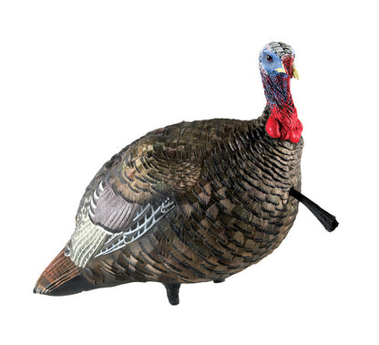 Avian X LCD  Quarter-Strut Jake Turkey Decoy