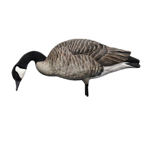 Avian X AXP Honkers: Fusion Pack