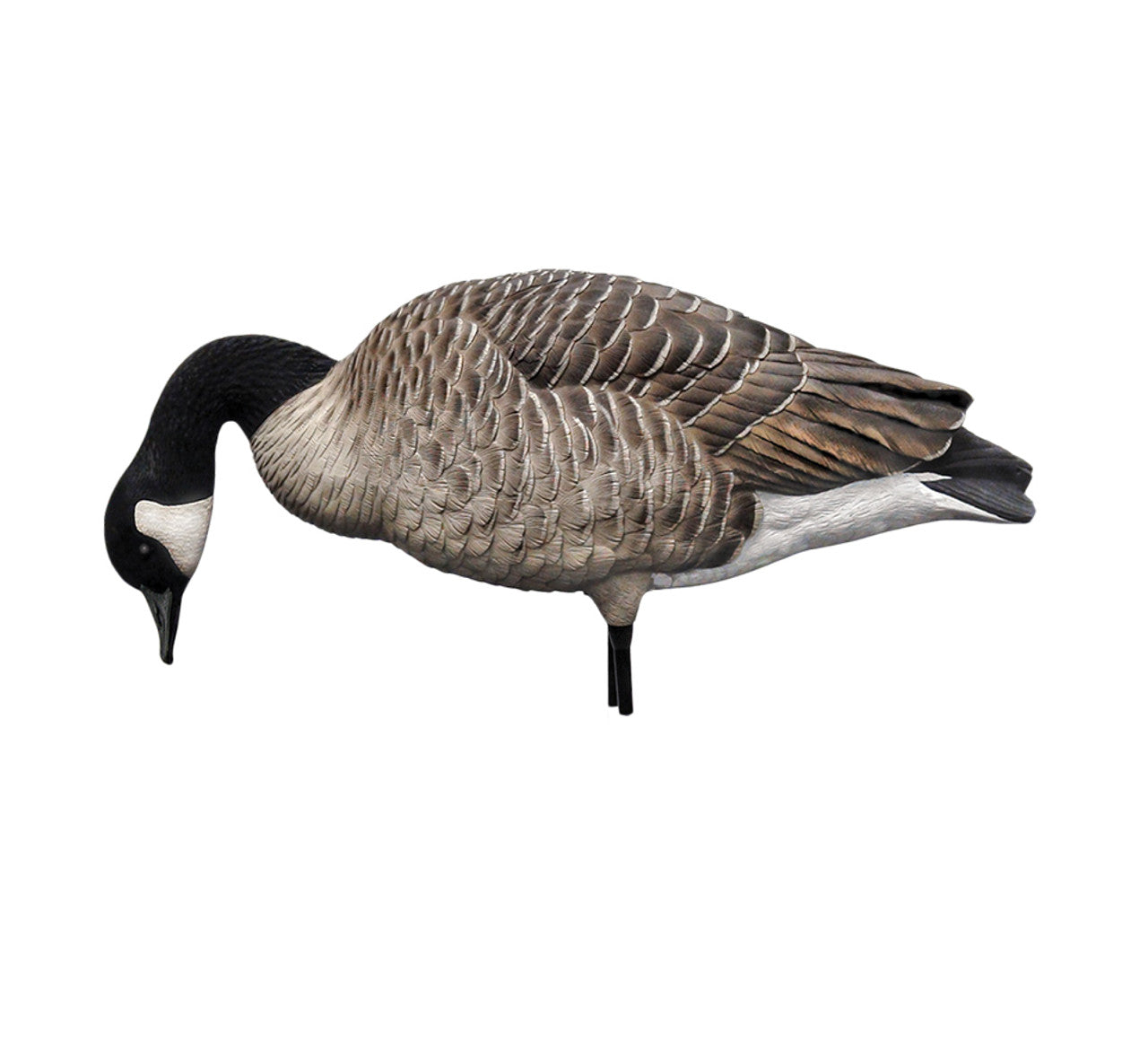 Avian-X AXP Honkers: Fusion Pack – Outdoors For Less