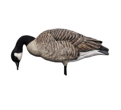 Avian X AXP Honkers: Fusion Pack