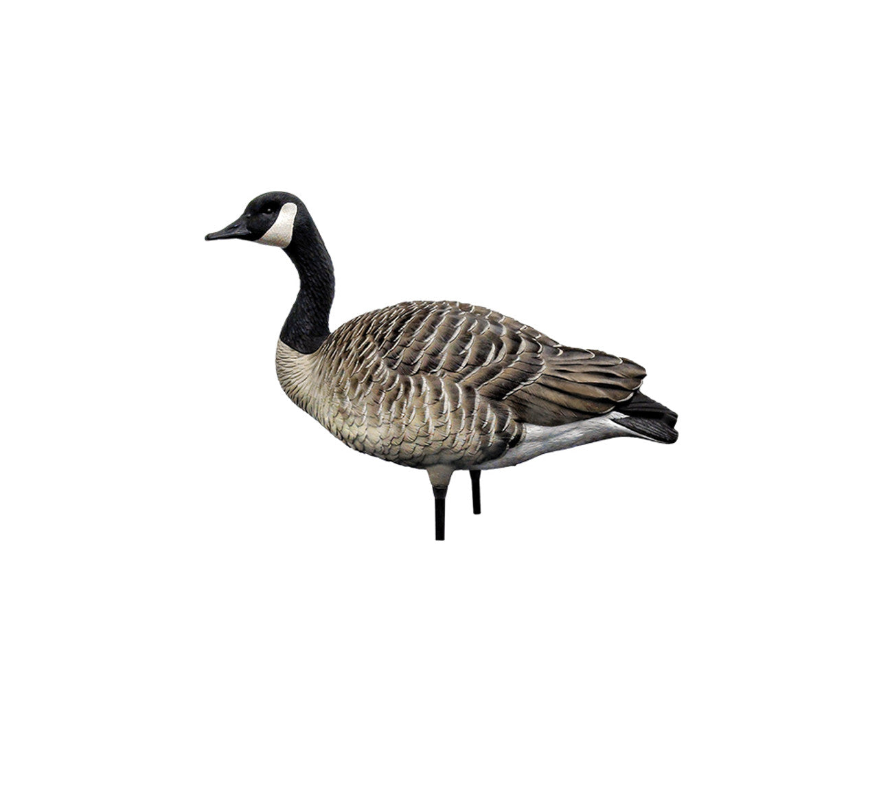 Avian-X AXP Honkers: Fusion Pack – Outdoors For Less