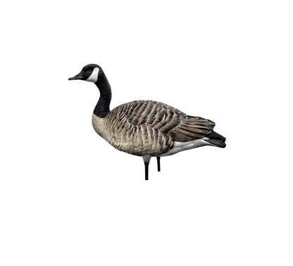 Avian X AXP Honkers: Fusion Pack