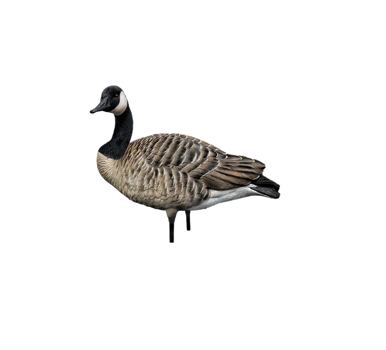 Avian X AXP Honkers: Fusion Pack