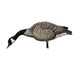 Avian X AXP Honkers: Fusion Pack