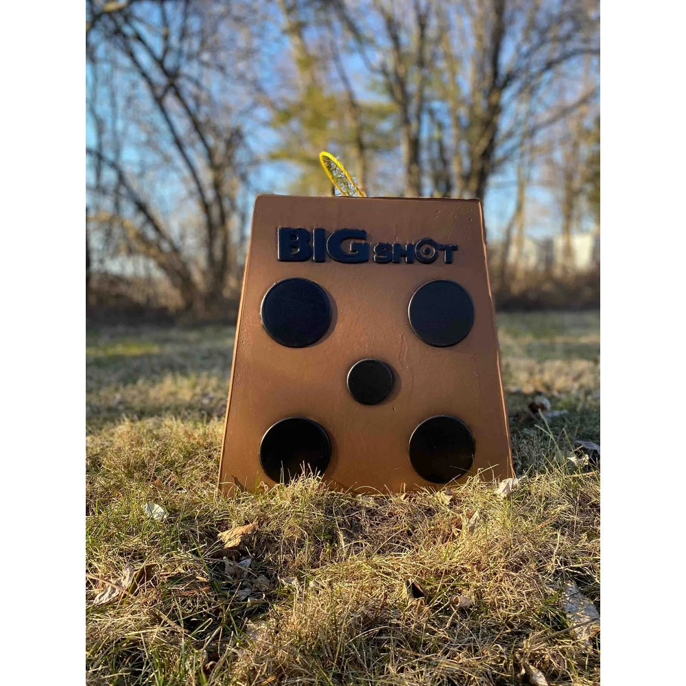 Big Shot Pro Hunter 16 archery target placed on grass outdoors showing front five-dot face with trees in background