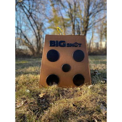 Big Shot Pro Hunter 16 archery target placed on grass outdoors showing front five-dot face with trees in background