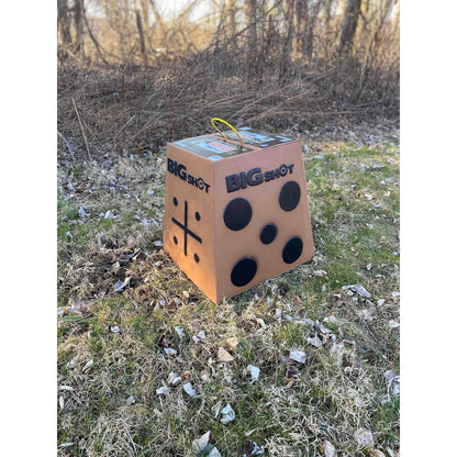 Big Shot Pro Hunter 16 archery target sitting on grass outdoors, three-quarter view showing crosshair and dot target faces