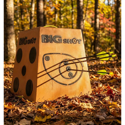 Big Shot Pro Hunter 18" archery target in autumn forest setting with three arrows grouped in deer vitals zone