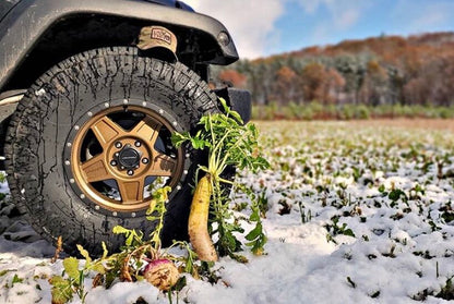Boss Brew™ Food Plot Seed