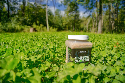 Clutch Clover™ Food Plot Seed