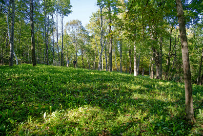 Hot Chic™ Food Plot Seed