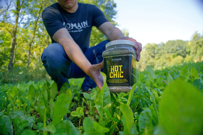 Hot Chic™ Food Plot Seed