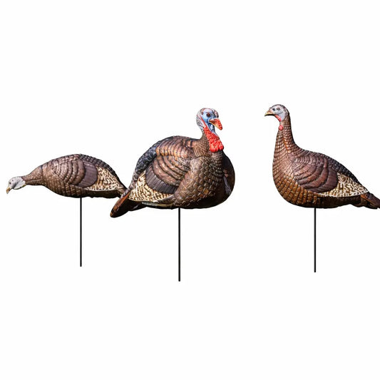 Hunters Specialties turkey decoys mounted on ground stakes