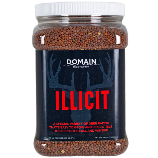 Illicit™ Food Plot Seed
