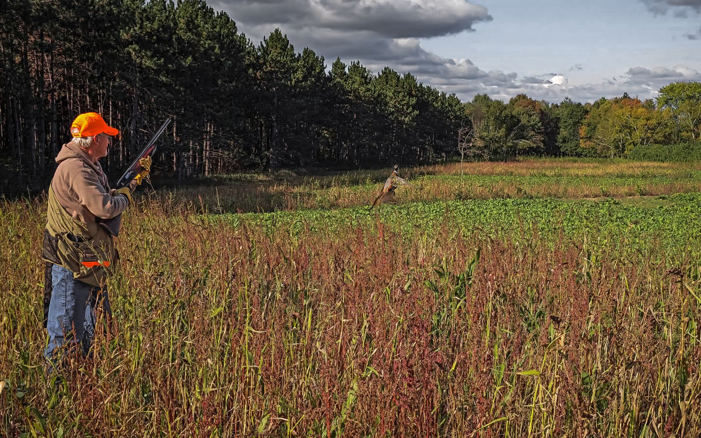 Domain Outdoor Dirty Bird™ Food Plot Seed