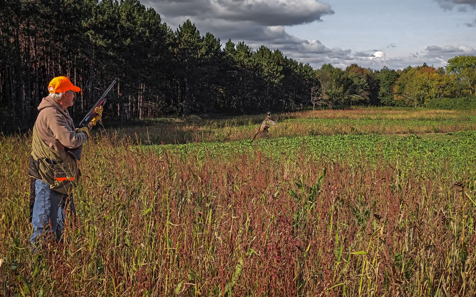 Domain Outdoor Dirty Bird™ Food Plot Seed