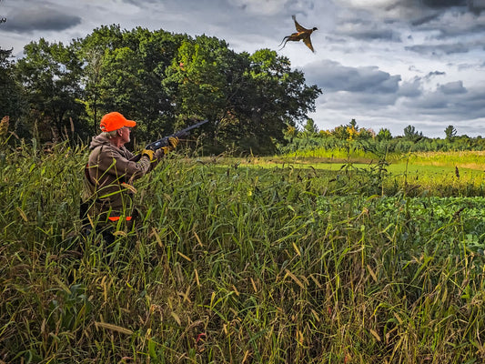 Domain Outdoor Dirty Bird™ Food Plot Seed