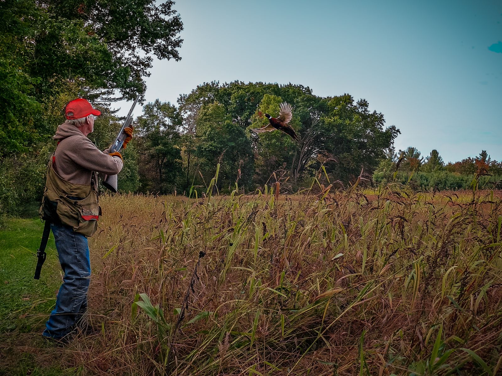 Domain Outdoor Dirty Bird™ Food Plot Seed