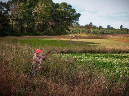 Domain Outdoor Dirty Bird™ Food Plot Seed