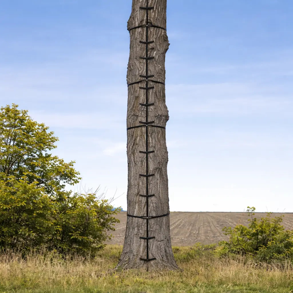 Muddy Quick-Stick XL climbing sticks installed on tall tree for elevated access