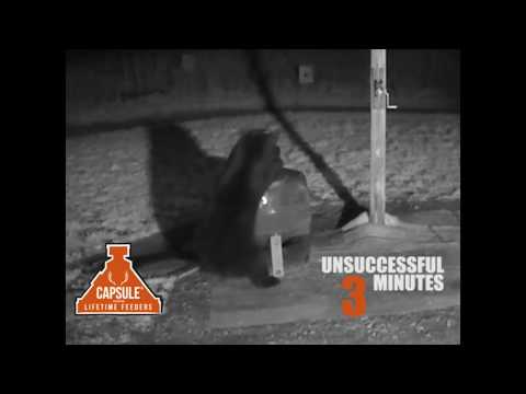 Bear Proof Cage for all Capsule Game Feeders