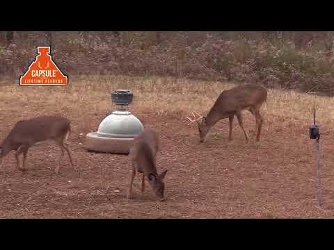Capsule Ground Level Sit and Fill Deer Corn and Protein Feeder 500 lb. Capacity