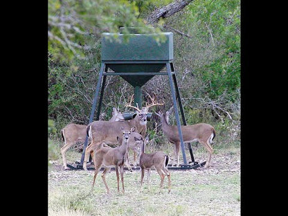 PF1000: Texas Hunter 1,000 lb. Deer Protein Feeder