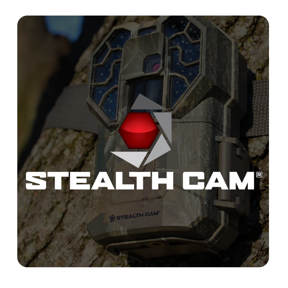 Stealth Cam
